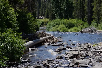 DSC_3627 (Large).JPG